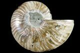 Cut & Polished Ammonite Fossil (Half) - Agate Replaced #146193-1